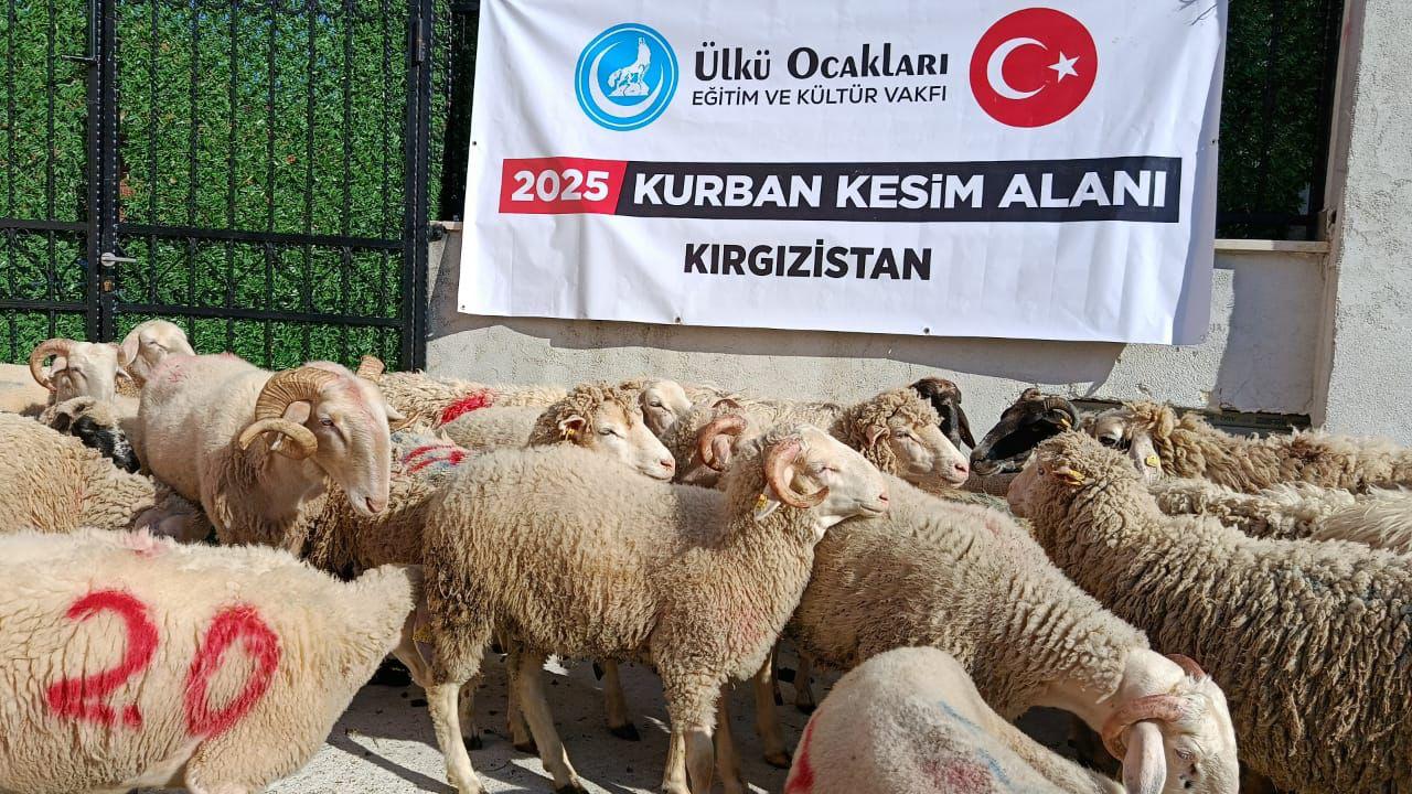 Kurban Tanıtımı